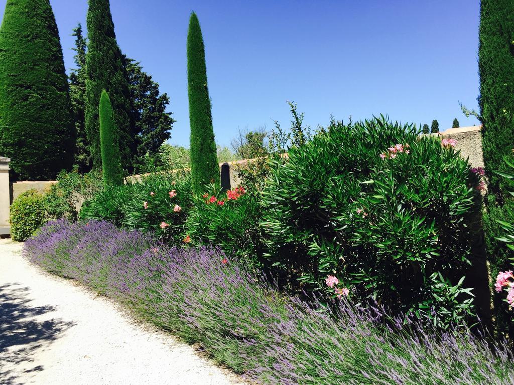 Le Mas Des Lauriers Bed and Breakfast Paradou Buitenkant foto
